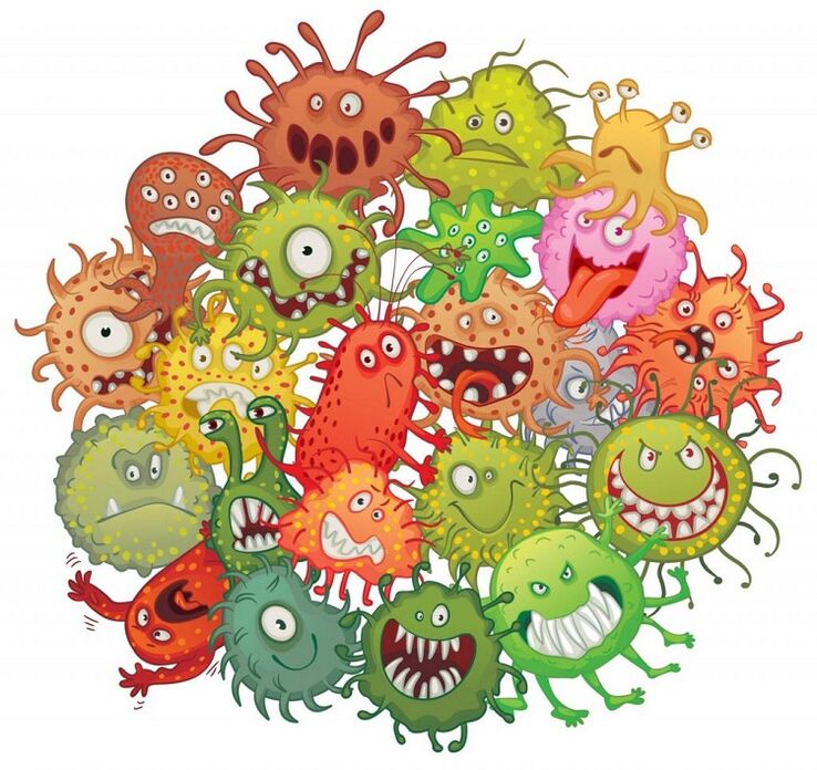 microbios humanos e vermes como eliminalos