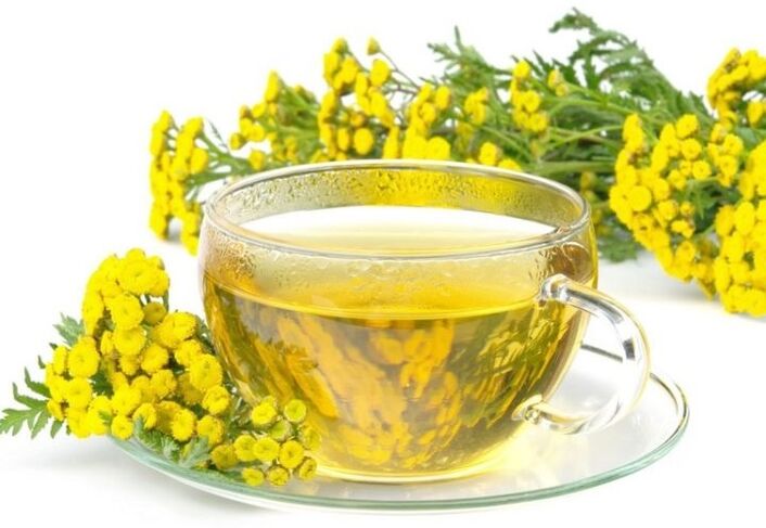 Tansy decocção contra parasitos no corpo