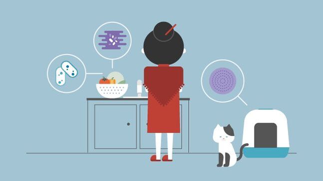 Parásitos e bacterias nos alimentos e nas mascotas